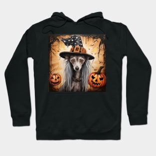 Halloween Chinese Crested Dog Hoodie